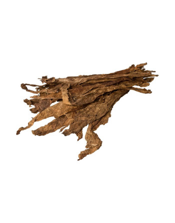 Burley Honey - 100% natural tobacco leaves