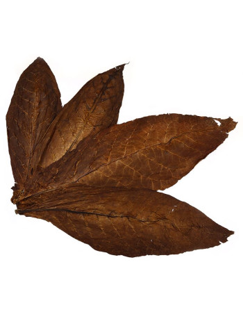 Kentucky Fire Cured - 100% natural tobacco leaves